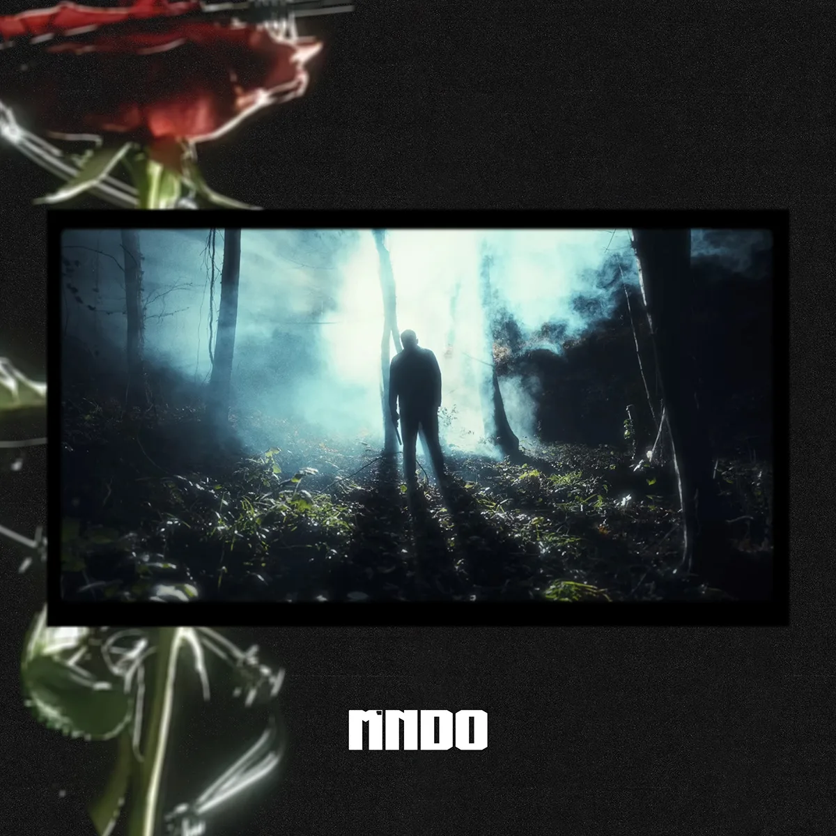 müzik kapak fotoğrafları müzik kapak fotoğrafları